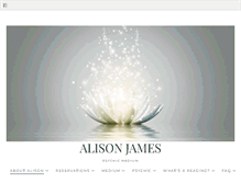 Tablet Screenshot of alisonjames.us